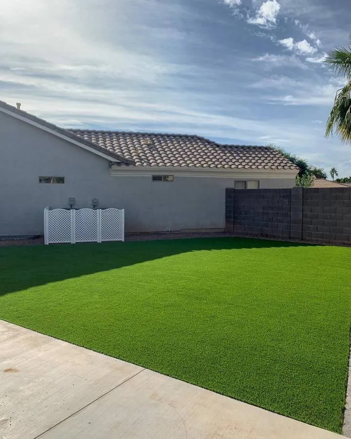 Artificial Turf